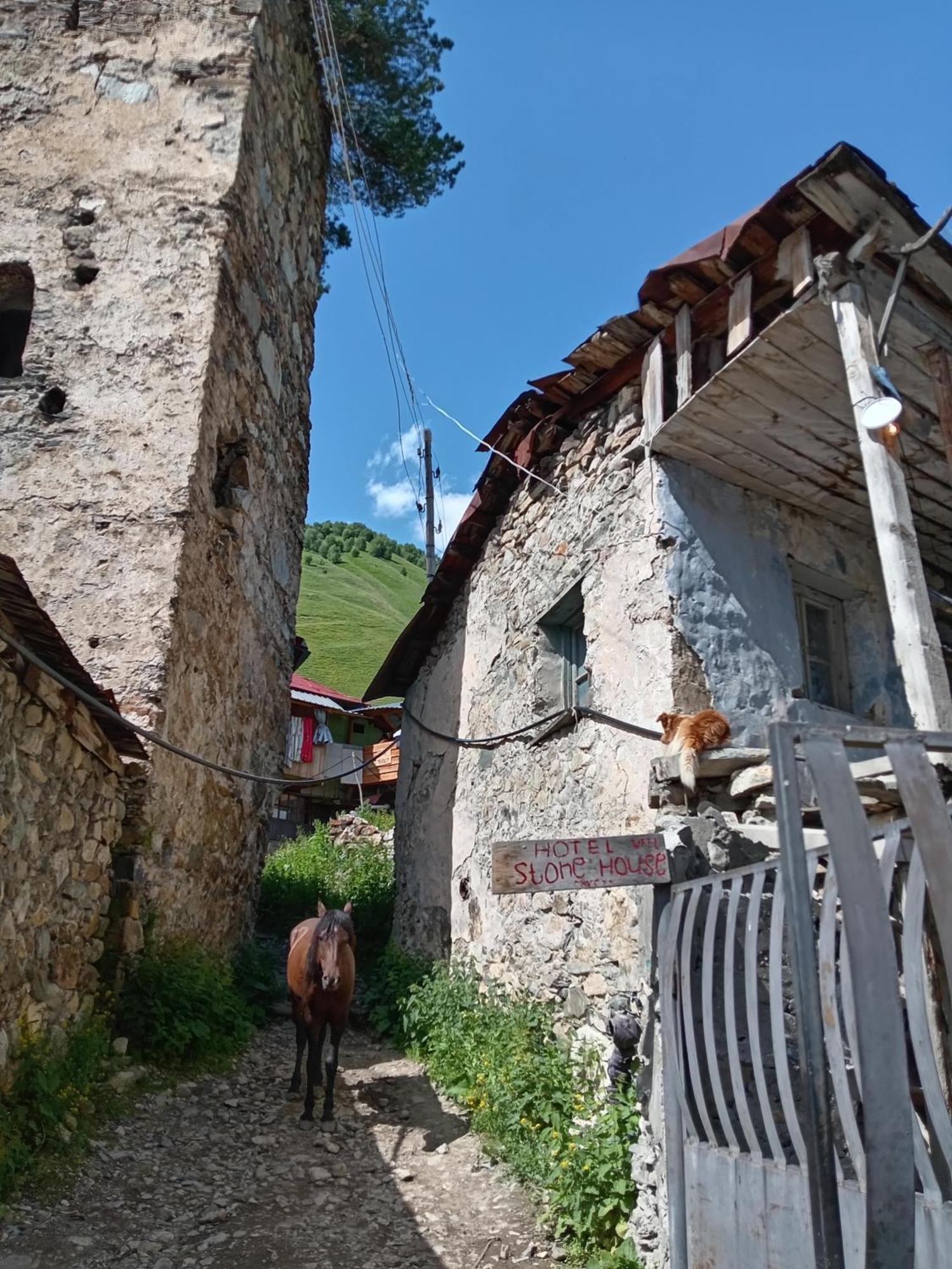 Hotel Stone House Marexi Adishi Esterno foto